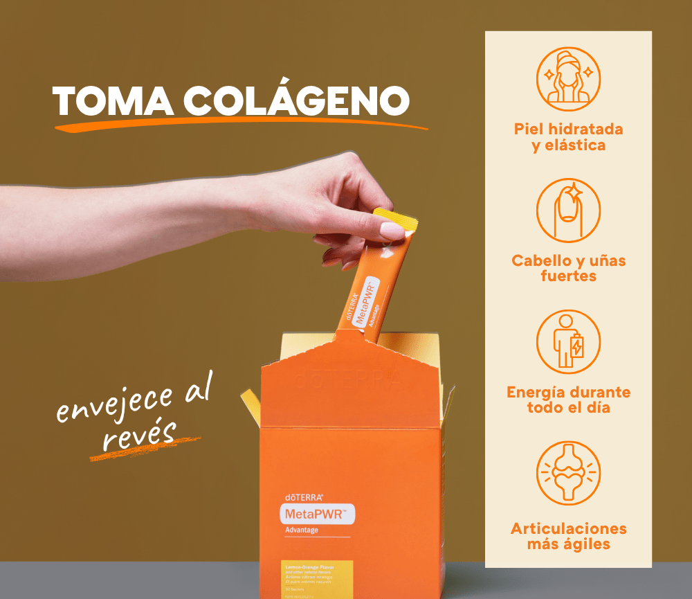 Imagen destacada