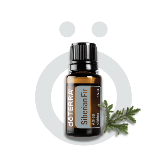 Aceite Individual Abeto Siberiano / Siberian Fir 15ml Abeto Siberiano / Siberian Fir 15ml