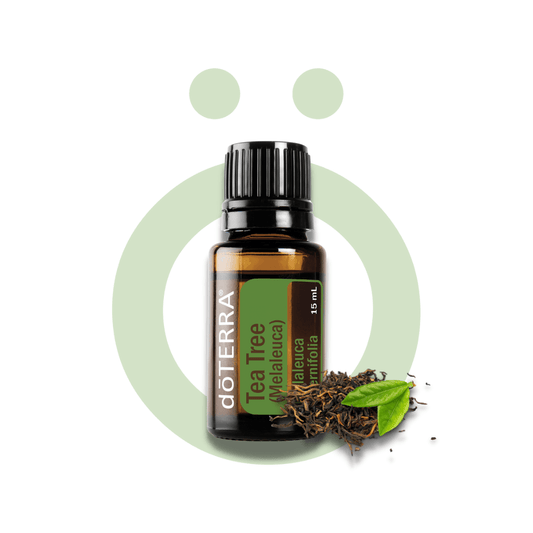 Aceite Individual Árbol de Té / Tea Tree 15 ml (Melaleuca) Árbol de Té / Tea Tree 15 ml (Melaleuca)