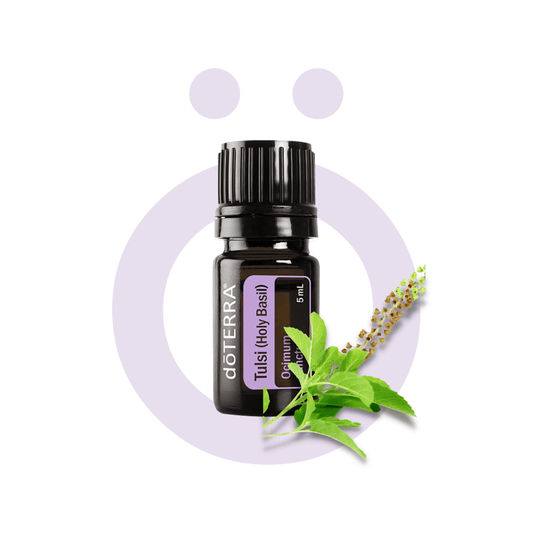 Aceite Individual Tulsi (Albahaca Sagrada) - Tulsi (Holy Basil) Tulsi (Albahaca Sagrada) - Tulsi (Holy Basil)