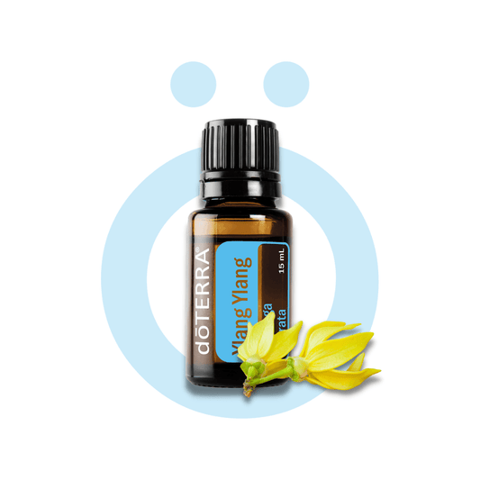 Aceite Individual Ylang Ylang 15ml Ylang Ylang 15ml