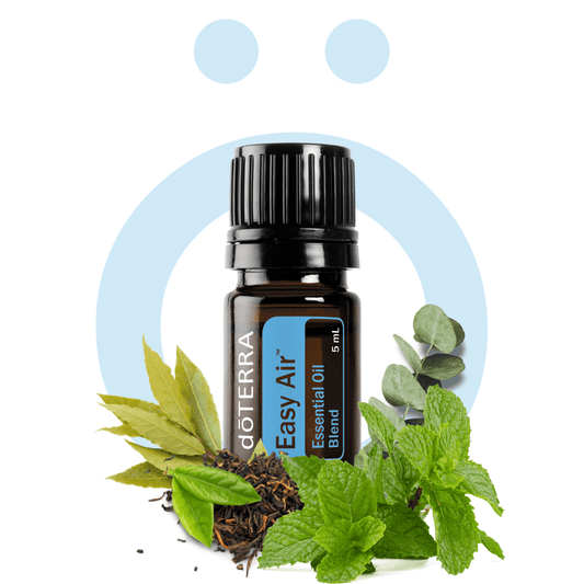 Mezclas de Aceites Exclusivas Easy Air - Breathe 5ml Easy Air - Breathe 5ml