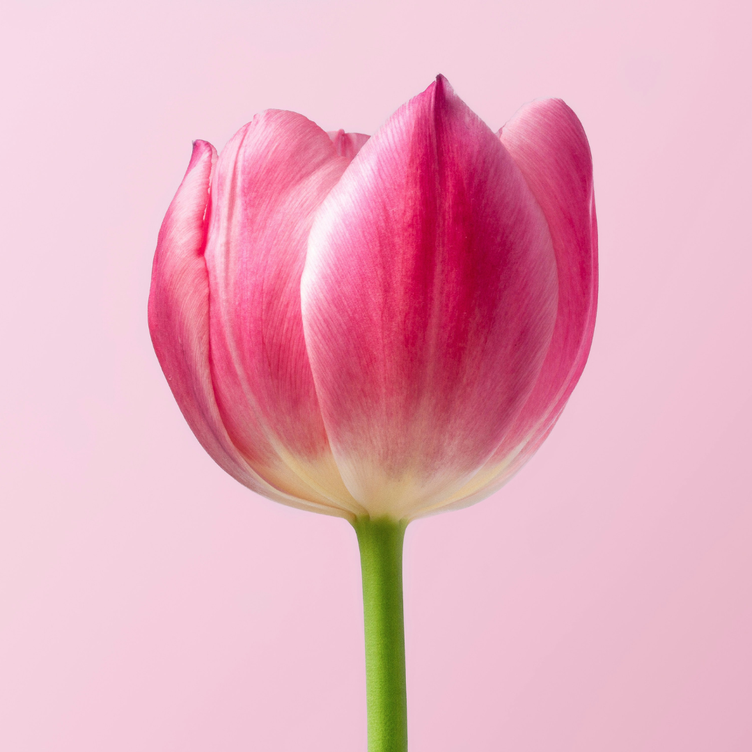 Perimenopausia