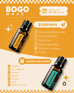Bundle 2X1 BOGO 5: Cúrcuma 15ml + Hierbabuena 15ml 2X1 BOGO 5: Cúrcuma 15ml + Hierbabuena 15ml