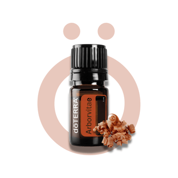 Aceite Individual Arborvitae (Árbol de la vida) 5ml Arborvitae (Árbol de la vida) 5ml
