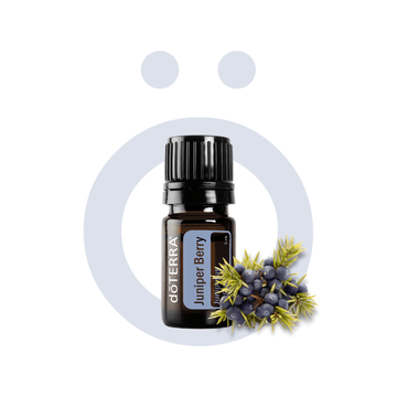 Aceite Individual Baya de Enebro / Juniper Berry 5 ml Baya de Enebro / Juniper Berry 5 ml