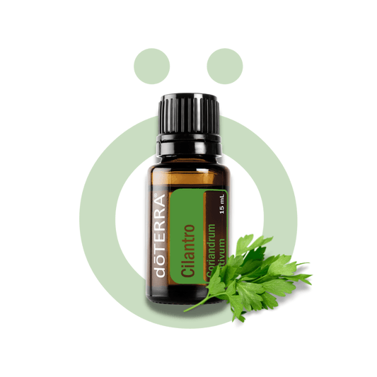 Aceite Individual Cilantro 15ml Cilantro 15ml