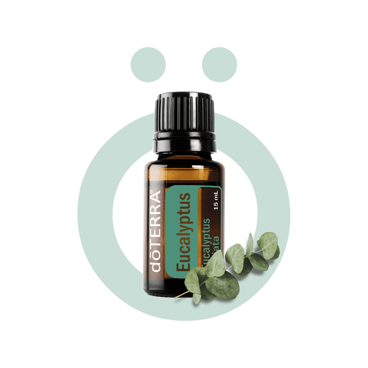 Aceite Individual Eucalipto - Eucalyptus 15ml Eucalipto - Eucalyptus 15ml