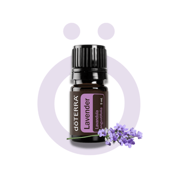 Aceite Individual Lavanda - Lavander 5ml Lavanda - Lavander 5ml
