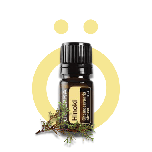Aceites Esenciales Individuales Hinoki 5ml Hinoki 5ml
