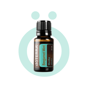 Aceites Esenciales Individuales Menta Bergamota 15ml Menta Bergamota 15ml
