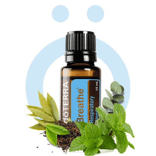 Mezclas de Aceites Exclusivas Easy Air - Breathe 15ml Easy Air - Breathe 15ml
